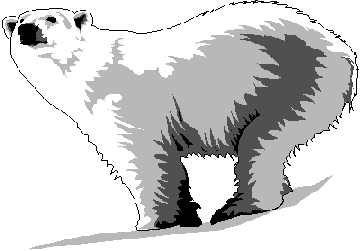 a_BEAR1_1